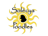 Solecya Poodles